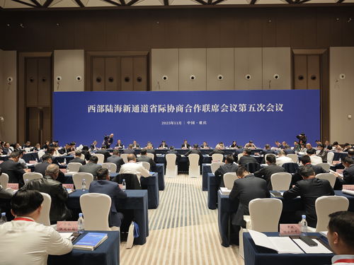 共商共建 合作共贏——西部陸海新通道省際協(xié)商合作聯(lián)席會(huì)議第五次會(huì)議在渝順利召開(kāi)